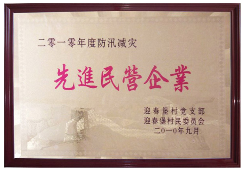 防汛减灾先进民营企业