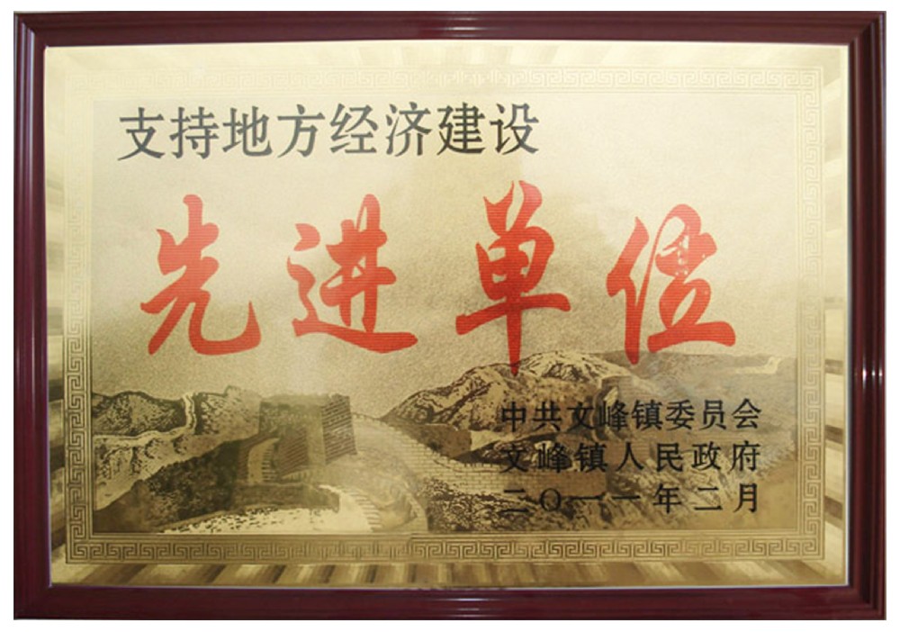 支持地方建设先进单位