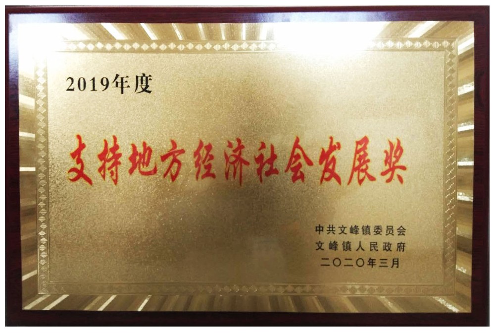 支持地方经济社会发展奖